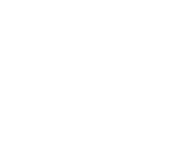 Aran SA - Logo blanco